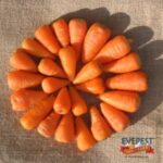 Baby Carrot 200g
